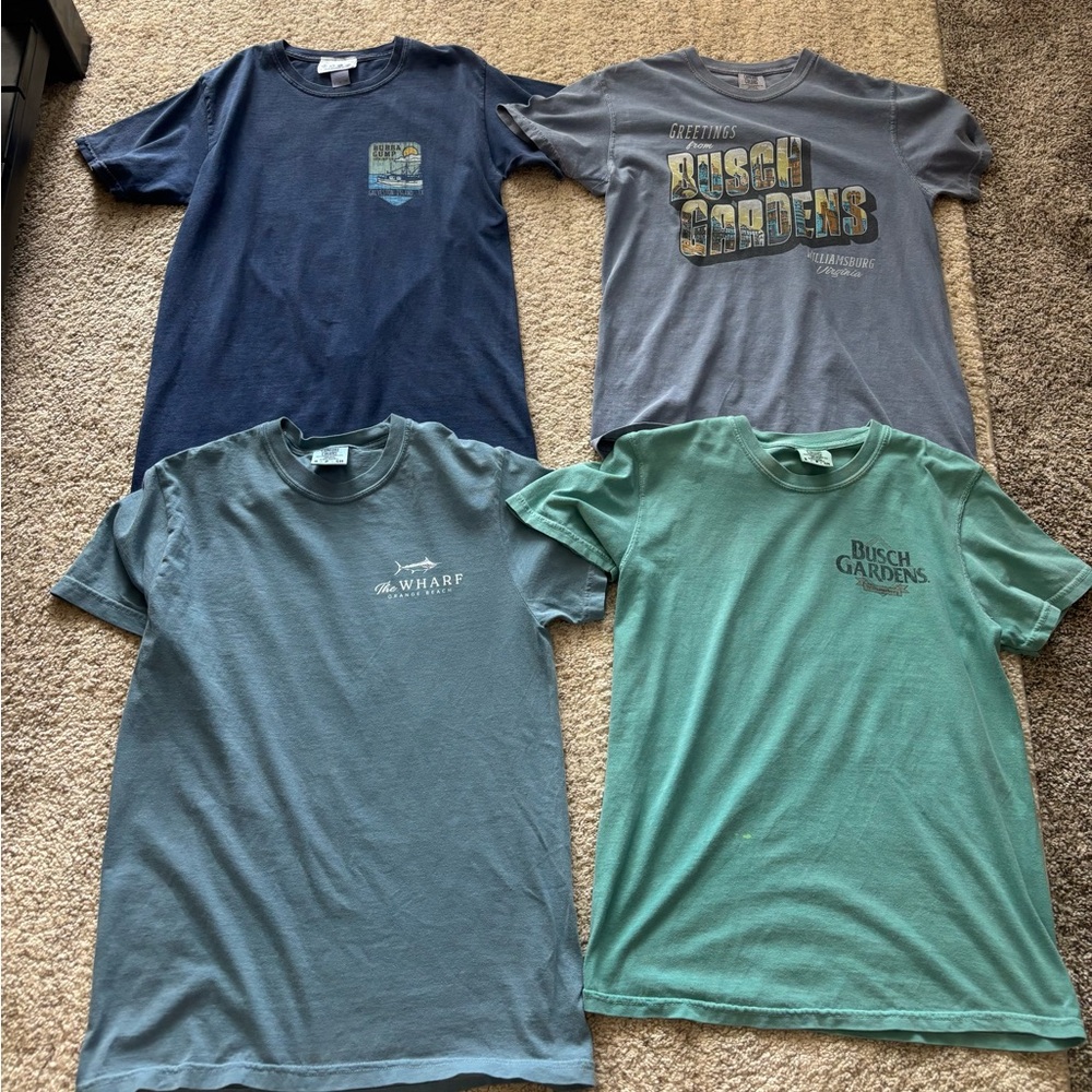 Comfort Colors Bundle of Tees in Blue and Green